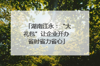 湖南江永：“大礼包”让企业开办省时省力省心