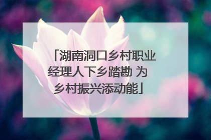 湖南洞口乡村职业经理人下乡踏勘 为乡村振兴添动能