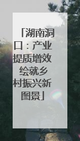 湖南洞口：产业提质增效 绘就乡村振兴新图景