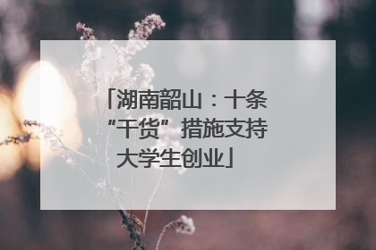 湖南韶山：十条“干货”措施支持大学生创业