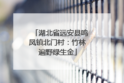 湖北省远安县鸣凤镇北门村：竹林遍野绿生金