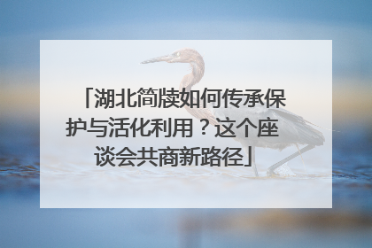 湖北简牍如何传承保护与活化利用？这个座谈会共商新路径