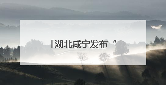 湖北咸宁发布“双创”政策包 广邀英才返乡创业
