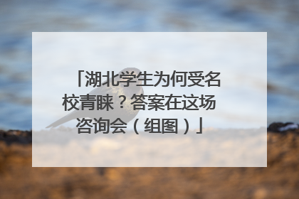 湖北学生为何受名校青睐？答案在这场咨询会（组图）