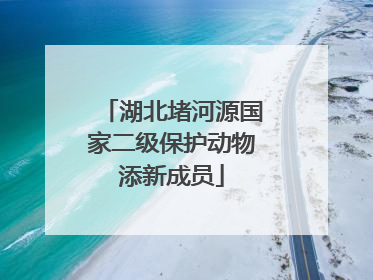 湖北堵河源国家二级保护动物添新成员