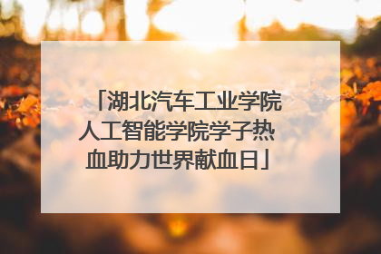 湖北汽车工业学院人工智能学院学子热血助力世界献血日