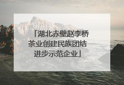 湖北赤壁赵李桥茶业创建民族团结进步示范企业