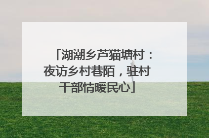 湖潮乡芦猫塘村：夜访乡村巷陌，驻村干部情暖民心