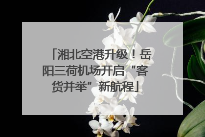 湘北空港升级！岳阳三荷机场开启“客货并举”新航程