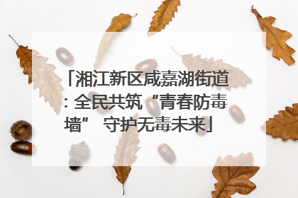 湘江新区咸嘉湖街道：全民共筑“青春防毒墙” 守护无毒未来