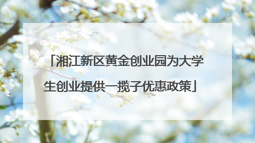 湘江新区黄金创业园为大学生创业提供一揽子优惠政策