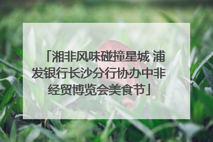 湘非风味碰撞星城 浦发银行长沙分行协办中非经贸博览会美食节