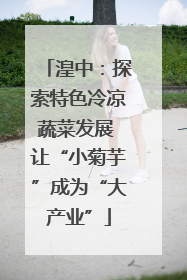 湟中：探索特色冷凉蔬菜发展 让“小菊芋”成为“大产业”