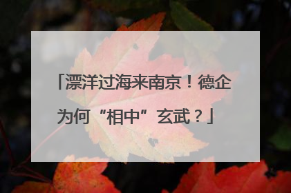 漂洋过海来南京！德企为何“相中”玄武？