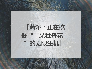 菏泽：正在挖掘“一朵牡丹花”的无限生机