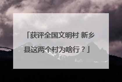 获评全国文明村 新乡县这两个村为啥行？