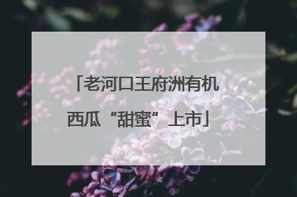 老河口王府洲有机西瓜“甜蜜”上市