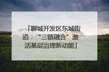 聊城开发区东城街道：“三链融合”激活基层治理新动能