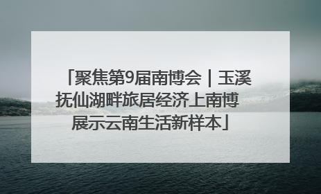 聚焦第9届南博会｜玉溪抚仙湖畔旅居经济上南博 展示云南生活新样本