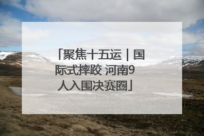 聚焦十五运｜国际式摔跤 河南9人入围决赛圈