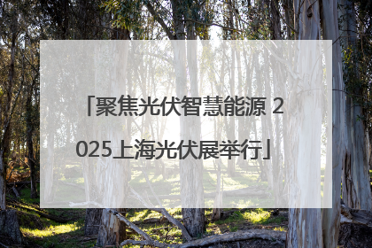 聚焦光伏智慧能源 2025上海光伏展举行