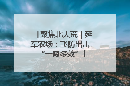 聚焦北大荒｜延军农场：飞防出击 “一喷多效”
