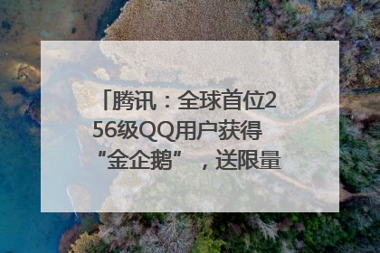 腾讯：全球首位256级QQ用户获得“金企鹅”，送限量版神秘惊喜等礼物