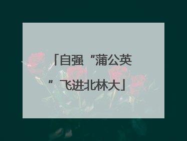 自强“蒲公英”飞进北林大