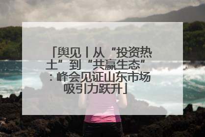 舆见丨从“投资热土”到“共赢生态”：峰会见证山东市场吸引力跃升