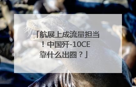 航展上成流量担当！中国歼-10CE靠什么出圈？