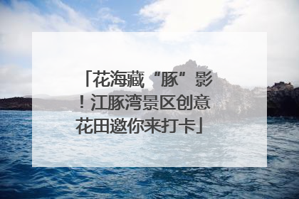 花海藏“豚”影！江豚湾景区创意花田邀你来打卡