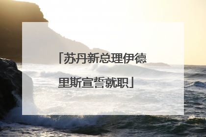 苏丹新总理伊德里斯宣誓就职