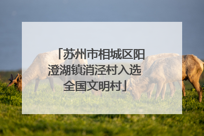 苏州市相城区阳澄湖镇消泾村入选全国文明村