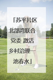 苏平片区北部湾联合党委 激活乡村治理一池春水