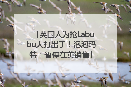 英国人为抢Labubu大打出手！泡泡玛特：暂停在英销售
