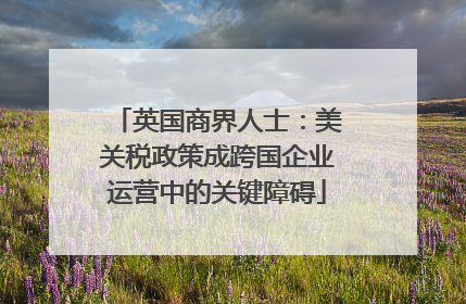 英国商界人士：美关税政策成跨国企业运营中的关键障碍
