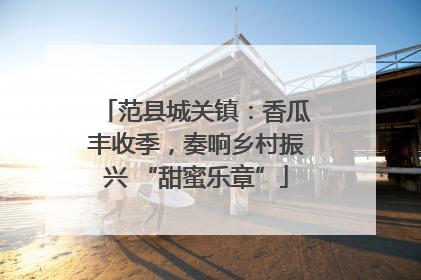 范县城关镇：香瓜丰收季，奏响乡村振兴 “甜蜜乐章”