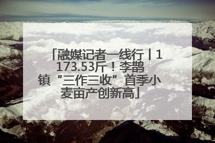 融媒记者一线行丨1173.53斤！李鹊镇“三作三收”首季小麦亩产创新高