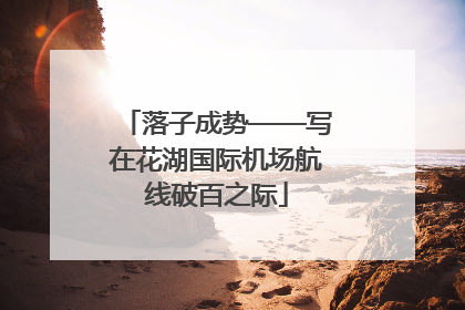 落子成势——写在花湖国际机场航线破百之际