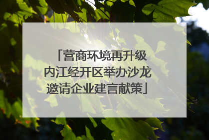 营商环境再升级 内江经开区举办沙龙邀请企业建言献策