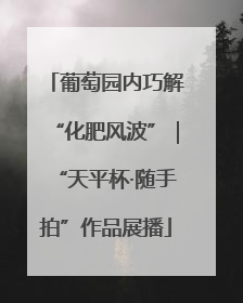 葡萄园内巧解“化肥风波”｜“天平杯·随手拍”作品展播