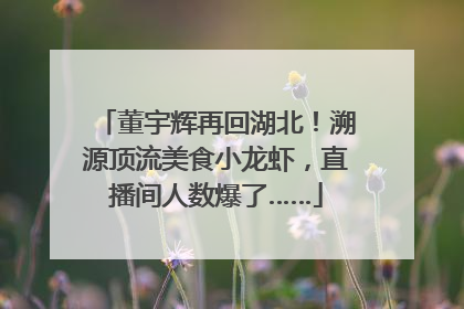 董宇辉再回湖北！溯源顶流美食小龙虾，直播间人数爆了……