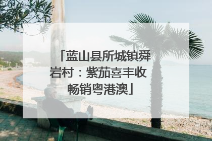 蓝山县所城镇舜岩村：紫茄喜丰收 畅销粤港澳