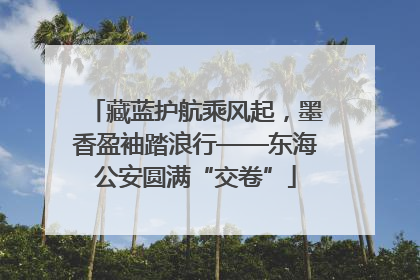藏蓝护航乘风起，墨香盈袖踏浪行——东海公安圆满“交卷”