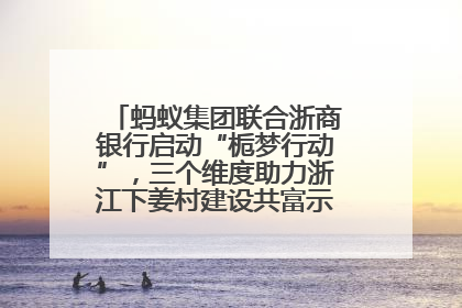 蚂蚁集团联合浙商银行启动“栀梦行动”，三个维度助力浙江下姜村建设共富示范区示范点