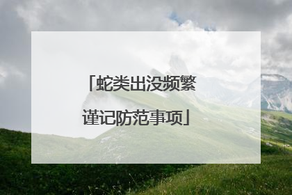 蛇类出没频繁 谨记防范事项