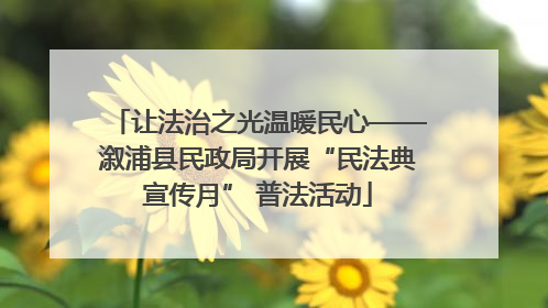 让法治之光温暖民心——溆浦县民政局开展“民法典宣传月” 普法活动