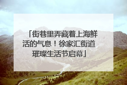 街巷里弄藏着上海鲜活的气息！徐家汇街道璀璨生活节启幕