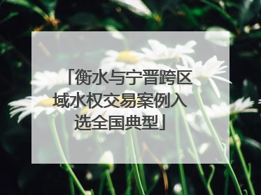 衡水与宁晋跨区域水权交易案例入选全国典型