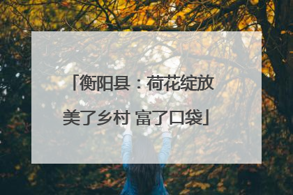 衡阳县：荷花绽放 美了乡村 富了口袋